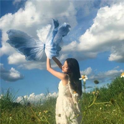 花落水流红